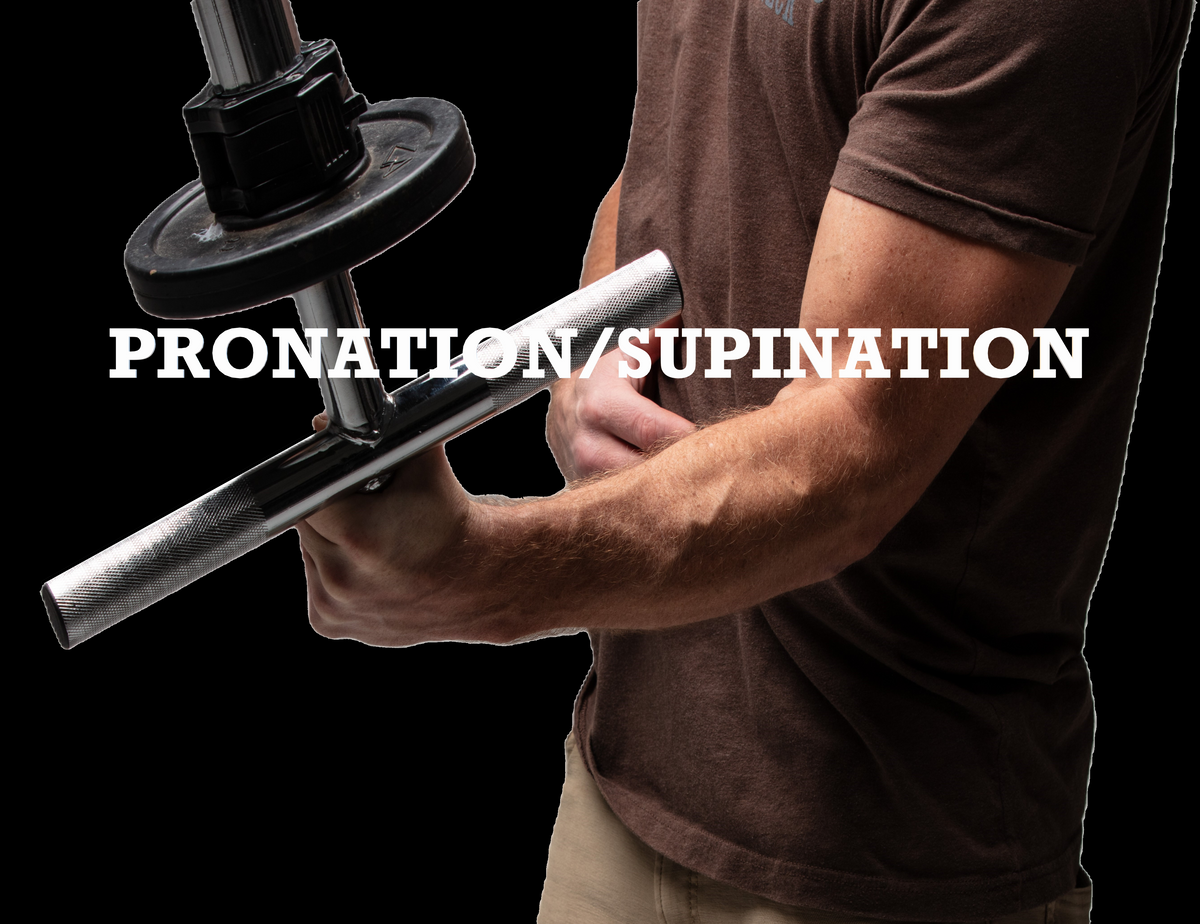 The Strong Arm - Forearm and Wrist Bar